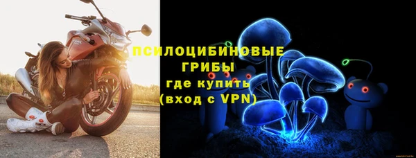 a pvp Кострома